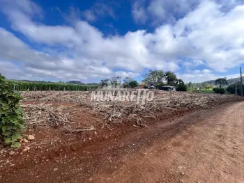 Imagem do anúnio: Vendo terreno / lote / condomínio em Concórdia , Santa Catarina no bairro Linha Canhada Funda
