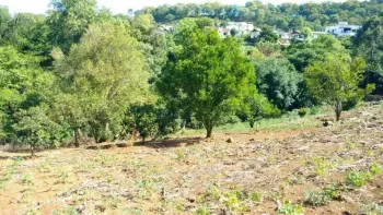 Imagem do anúnio: Vendo fazenda / sítio / chácara em Joaçaba , Santa Catarina no bairro Clara Adélia