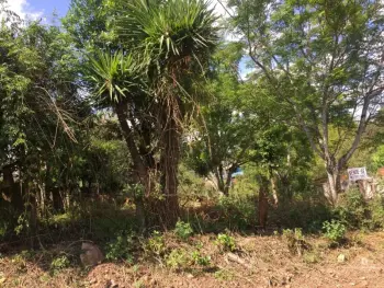 Imagem do anúnio: Vendo terreno / lote / condomínio em Joaçaba , Santa Catarina no bairro Jardim das Hortências