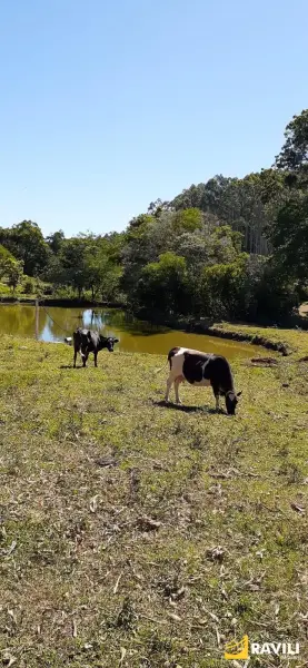 Imagem do anúnio:  chácara em Jaborá , Santa Catarina no bairro Linha Sao Miguel