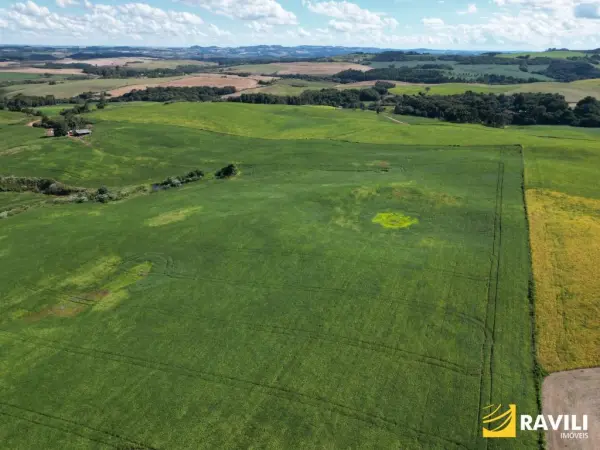 Imagem do anúnio:  fazenda / sítio / chácara em Erval Velho , Santa Catarina no bairro Interior