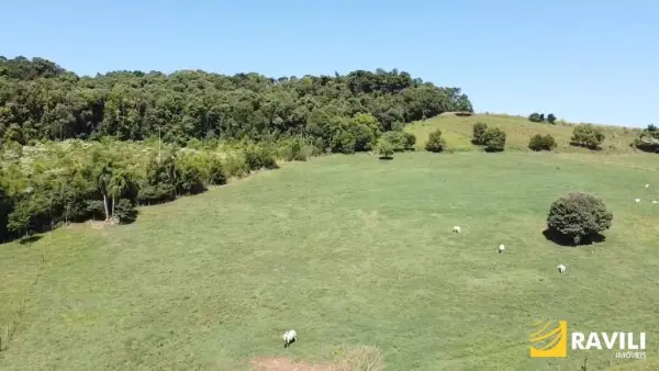 Imagem do anúnio:  fazenda / sítio / chácara em Peritiba , Santa Catarina no bairro Linha Caravagio