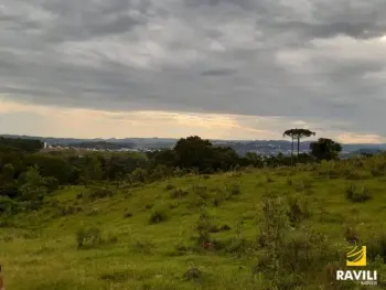 Imagem do anúnio: Alugo terreno / lote / condomínio em Herval Do Oeste , Santa Catarina no bairro Santo Antônio
