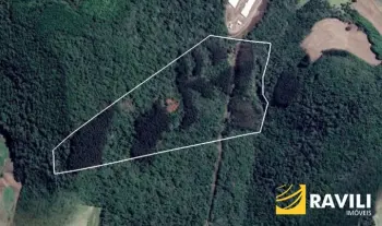 Imagem do anúnio:  terreno / lote / condomínio em Ibicaré , Santa Catarina no bairro Interior