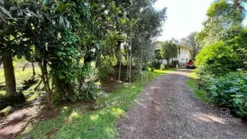Imagem do anúnio: Vendo fazenda / sítio / chácara em Ipomeia , Santa Catarina no bairro Ipomeia