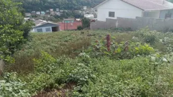 Imagem do anúnio: Vendo terreno / lote / condomínio em Videira , Santa Catarina no bairro Floresta