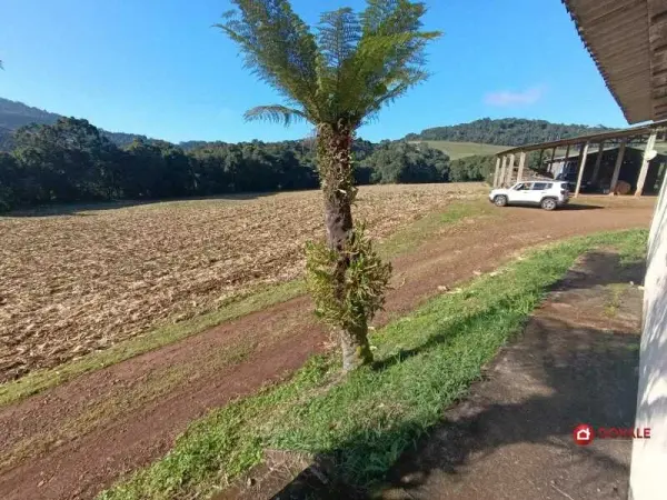 Imagem do anúnio: Vendo fazenda / sítio / chácara em Iomerê , Santa Catarina no bairro LINHA PAULINA