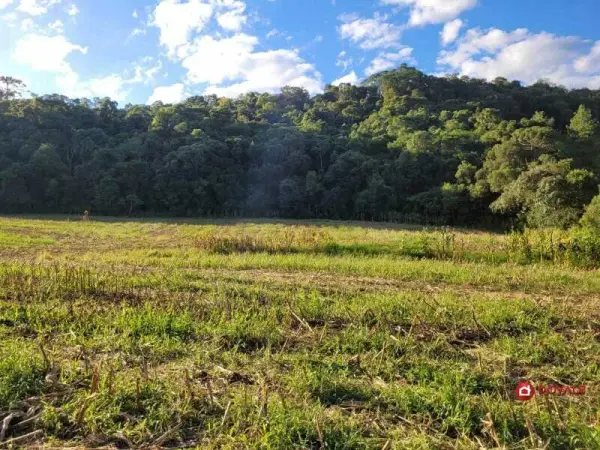 Imagem do anúnio: Vendo fazenda / sítio / chácara em Iomerê , Santa Catarina no bairro Linha Santa Terezinha
