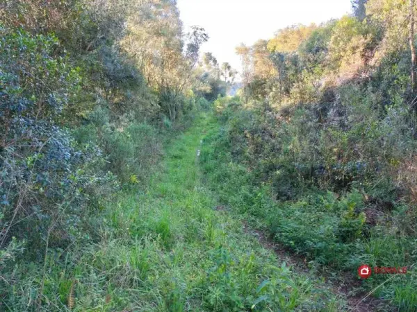 Imagem do anúncio: Vendo fazenda / sítio / chácara em Rio das Antas , Santa Catarina no bairro Interior