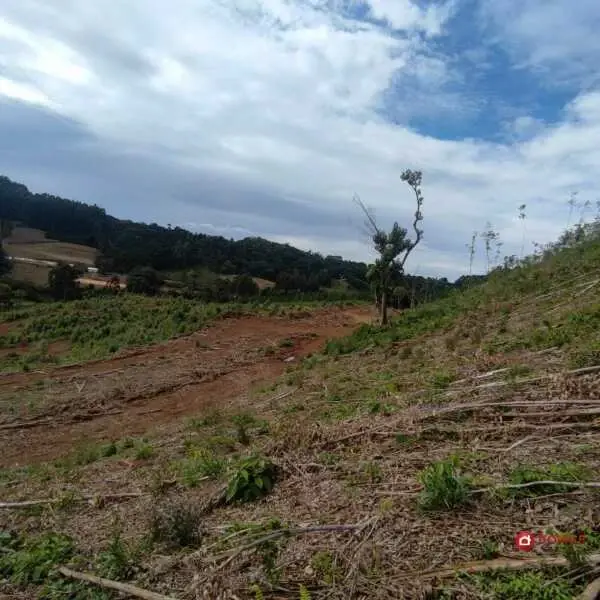Imagem do anúnio: Vendo fazenda / sítio / chácara em Rio Das Antas , Santa Catarina no bairro Linha São Luiz