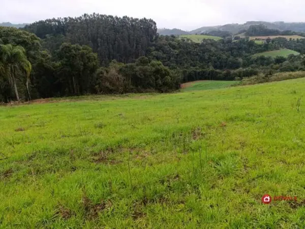 Imagem do anúnio: Vendo fazenda / sítio / chácara em Arroio Trinta , Santa Catarina no bairro Rural