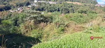 Imagem do anúnio: Vendo terreno / lote / condomínio em Videira , Santa Catarina no bairro Carelli