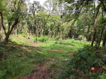 Imagem do anúnio: Vendo terreno / lote / condomínio em Rio das Antas , Santa Catarina no bairro Ipomeia