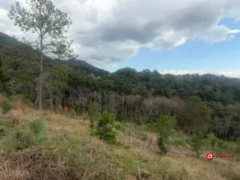 Imagem do anúnio: Vendo fazenda / sítio / chácara em Iomerê , Santa Catarina no bairro Interior