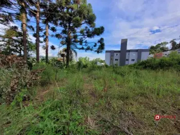 Imagem do anúnio: Vendo terreno / lote / condomínio em Videira , Santa Catarina no bairro Universitário