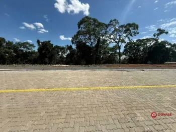 Imagem do anúnio: Vendo terreno / lote / condomínio em Videira , Santa Catarina no bairro Portal das Videiras