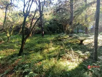 Imagem do anúnio: Vendo fazenda / sítio / chácara em Fraiburgo , Santa Catarina no bairro Linha Papuã
