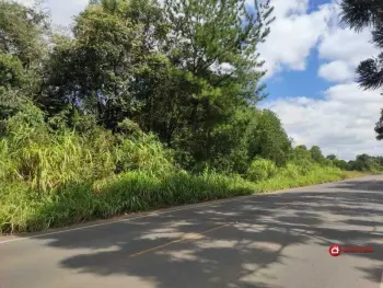 Imagem do anúnio: Vendo terreno / lote / condomínio em Rio das Antas , Santa Catarina no bairro Ipomeia