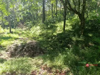 Imagem do anúnio: Vendo fazenda / sítio / chácara em Anta Gorda , Santa Catarina no bairro Interior 