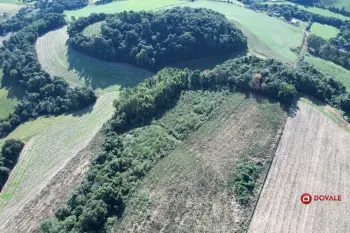 Imagem do anúnio: Vendo fazenda / sítio / chácara em Videira , Santa Catarina no bairro Linha Lourdes