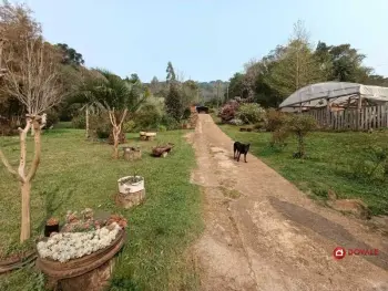 Imagem do anúnio: Vendo fazenda / sítio / chácara em Rio das Antas , Santa Catarina no bairro Ipomeia