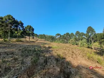 Imagem do anúnio: Vendo fazenda / sítio / chácara em Tangará , Santa Catarina no bairro Passo da Felicidade