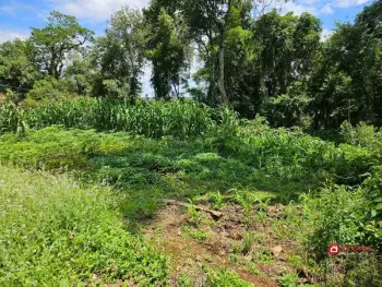 Imagem do anúnio: Vendo terreno / lote / condomínio em Videira , Santa Catarina no bairro Cidade Alta