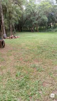 Imagem do anúnio: Vendo fazenda / sítio / chácara em Rio das Antas , Santa Catarina no bairro Interior
