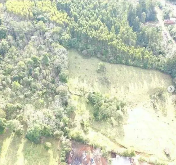 Imagem do anúnio: Vendo fazenda / sítio / chácara em Concórdia , Santa Catarina no bairro Itaíba