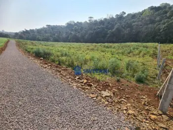 Imagem do anúnio: Vendo fazenda / sítio / chácara em Iomerê , Santa Catarina no bairro Interior