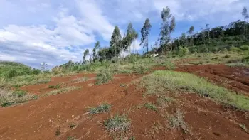 Imagem do anúnio: Vendo fazenda / sítio / chácara em Iomerê , Santa Catarina no bairro Interior