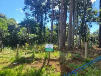Imagem do anúnio: Vendo fazenda / sítio / chácara em Catanduvas , Santa Catarina no bairro Sayonara