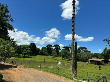 Imagem do anúnio: Vendo fazenda / sítio / chácara em Catanduvas , Santa Catarina no bairro Loteamento Pinheiros