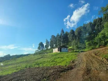 Imagem do anúnio: Vendo fazenda / sítio / chácara em Catanduvas , Santa Catarina no bairro Jacutinga