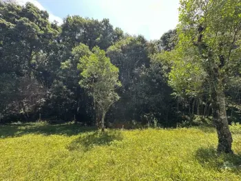 Imagem do anúnio: Vendo fazenda / sítio / chácara em Catanduvas , Santa Catarina no bairro Sayonara