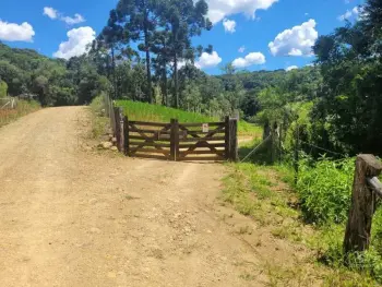 Imagem do anúnio: Vendo fazenda / sítio / chácara em Catanduvas , Santa Catarina no bairro Linha Vera Cruz