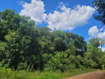 Imagem do anúnio: Vendo fazenda / sítio / chácara em Catanduvas , Santa Catarina no bairro Linha Vera Cruz