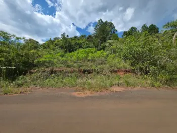 Imagem do anúnio: Vendo terreno / lote / condomínio em Concórdia , Santa Catarina no bairro Tamanduá