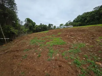 Imagem do anúnio: Vendo fazenda / sítio / chácara em Concórdia , Santa Catarina no bairro Interior