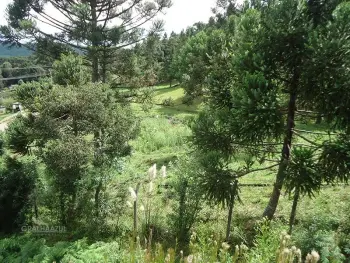 Imagem do anúnio: Vendo terreno / lote / condomínio em Caçador , Santa Catarina no bairro Alto Bonito