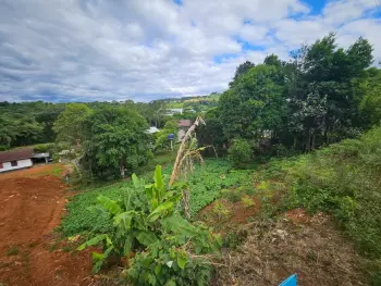 Imagem do anúncio: terreno / lote / condomínio em Videira , Santa Catarina no bairro Cetrevi