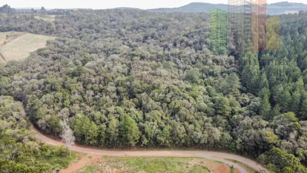 Imagem do anúnio: Vendo fazenda / sítio / chácara em Rio Das Antas , Santa Catarina no bairro Linha Glória