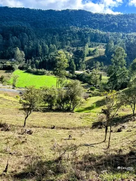 Imagem do anúnio: Vendo terreno / lote / condomínio em Urubici , Santa Catarina no bairro Rio do Engano
