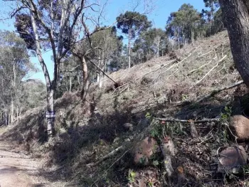 Imagem do anúnio: Vendo fazenda / sítio / chácara em Herval Do Oeste , Santa Catarina