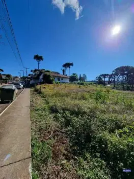 Imagem do anúnio: Vendo terreno / lote / condomínio em Treze Tílias , Santa Catarina no bairro Centro