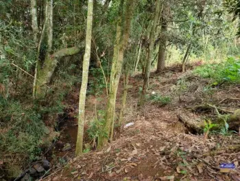 Imagem do anúnio: Vendo fazenda / sítio / chácara em Tangará , Santa Catarina no bairro Marari