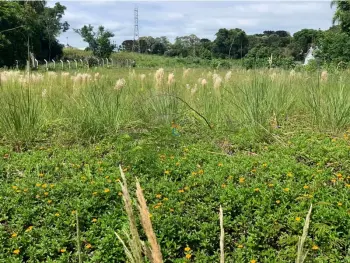 Imagem do anúnio: Vendo terreno / lote / condomínio em Joaçaba , Santa Catarina no bairro Nossa senhora de Fátima