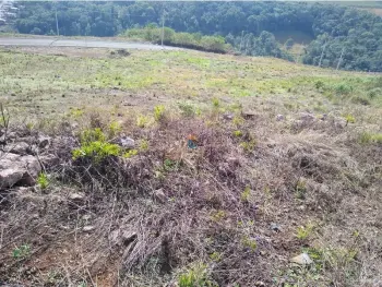Imagem do anúnio: Vendo terreno / lote / condomínio em Herval Do Oeste , Santa Catarina no bairro São Vicente
