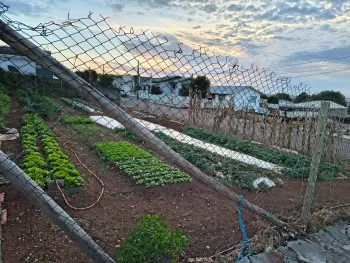 Imagem do anúnio: Vendo terreno / lote / condomínio em Campos Novos , Santa Catarina no bairro Nossa Senhora de Lourdes