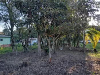 Imagem do anúnio: Vendo terreno / lote / condomínio em Joaçaba , Santa Catarina no bairro Frei Bruno